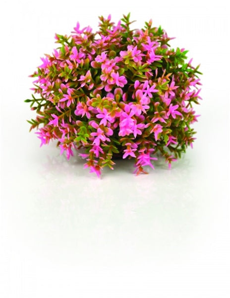 Farvet Topiary Ball (Pink)