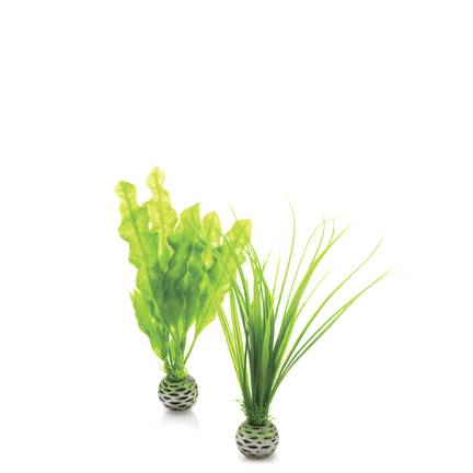 BiOrb Plante sæt Grøn lille, 1 sæt